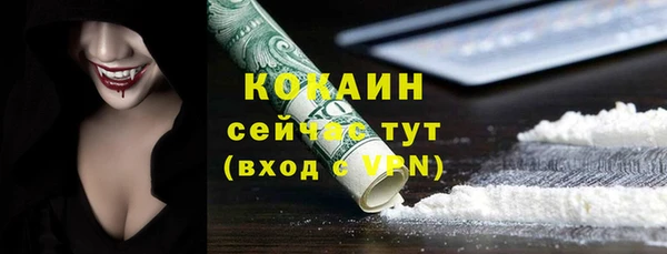 молекула духа Богданович
