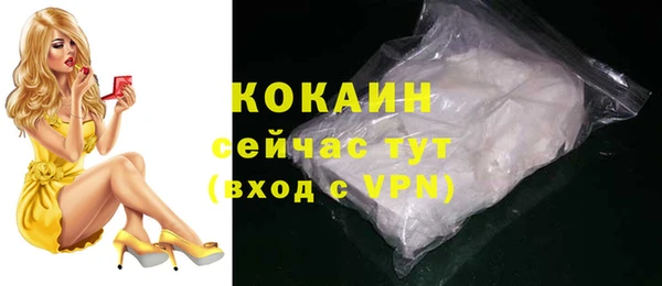 mix Бородино