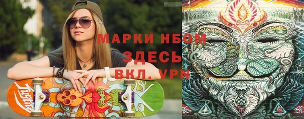 spice Богородск