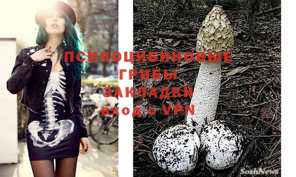mix Бородино