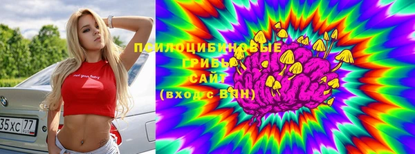 молекула духа Богданович
