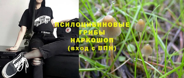 spice Богородск