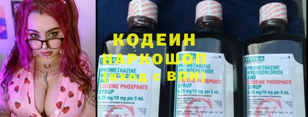 молекула духа Богданович